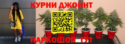 ПСИЛОЦИБИНОВЫЕ ГРИБЫ Камышлов