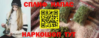 скорость Кингисепп