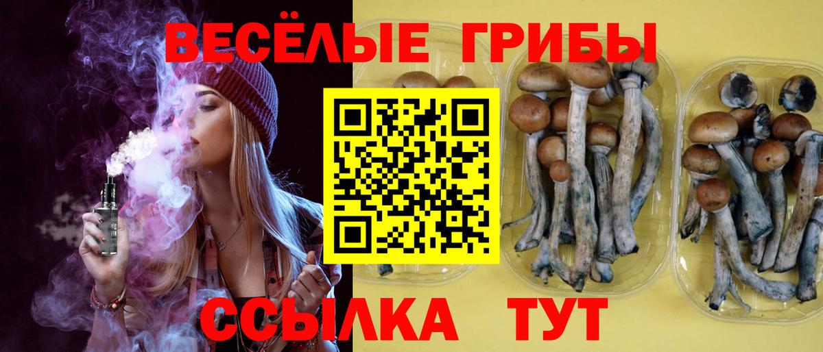 Галлюциногенные грибы мухоморы Волгоград